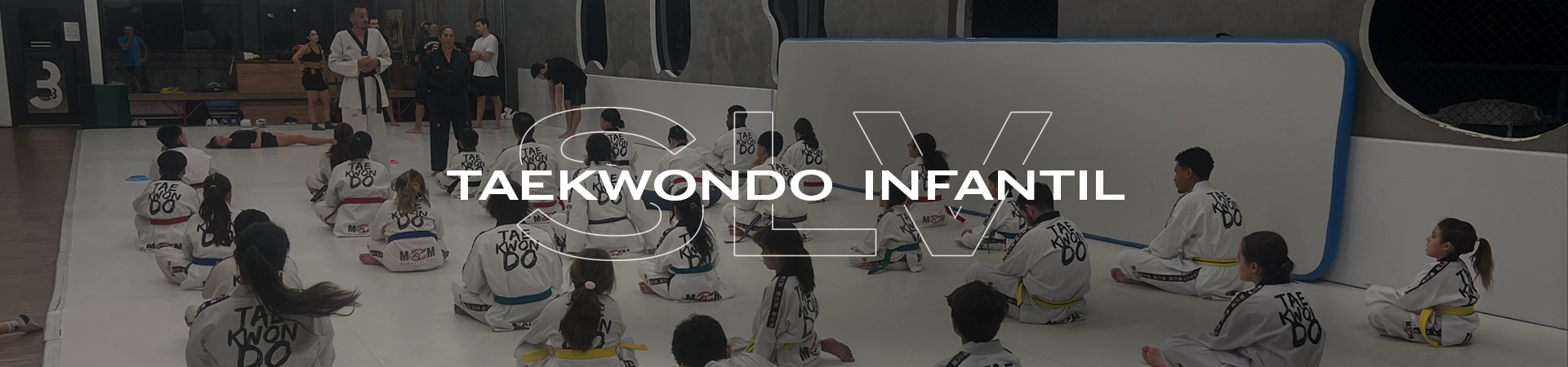 Aula de Taekwondo Infantil